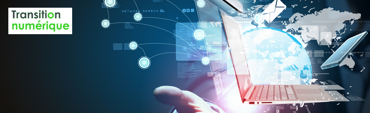 SYSTEMES et TALENTS propose un ensemble de formations pour aider les entreprises dans leur transition numérique.